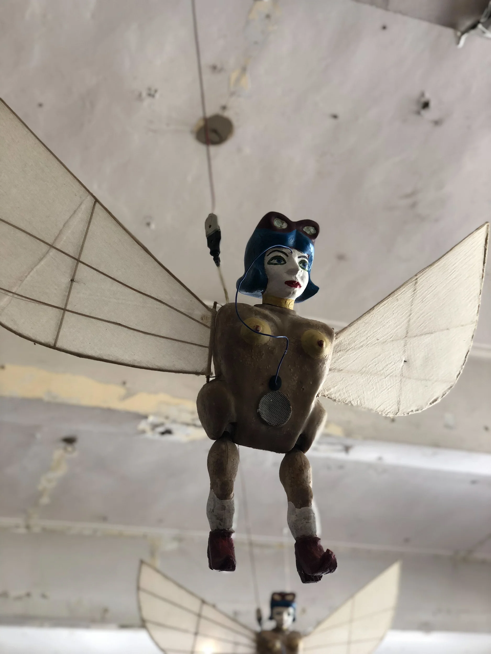 20181103-SRowe-0002.jpg