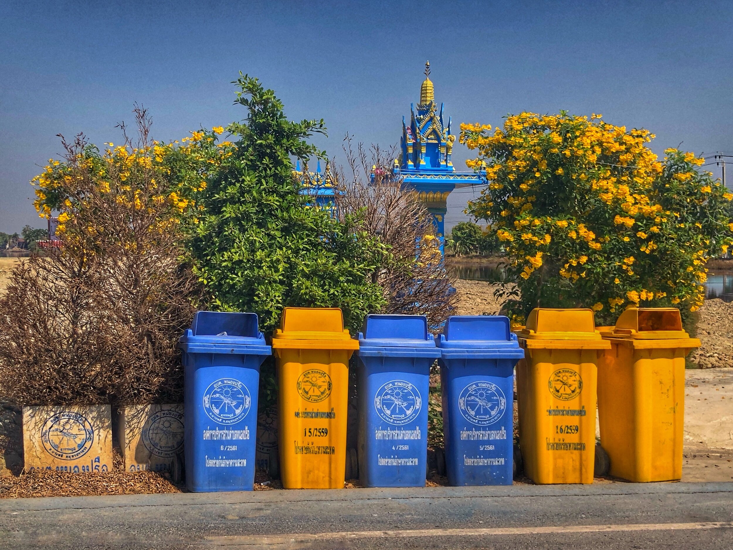 Bins and Spirit Houses