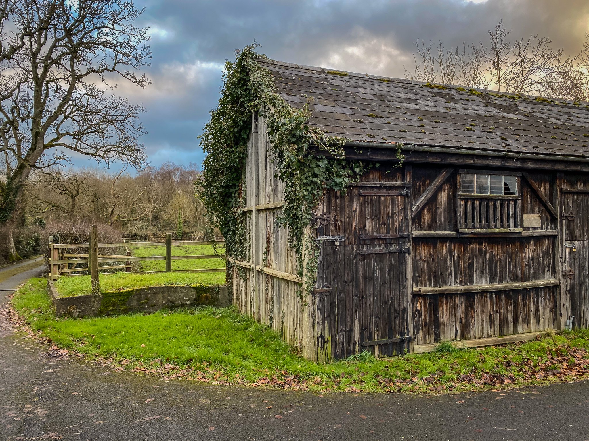 The Shed