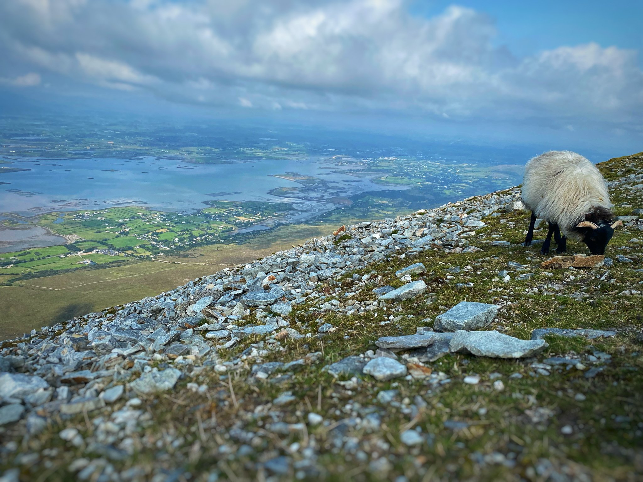 On top of Croagh Patrick 
