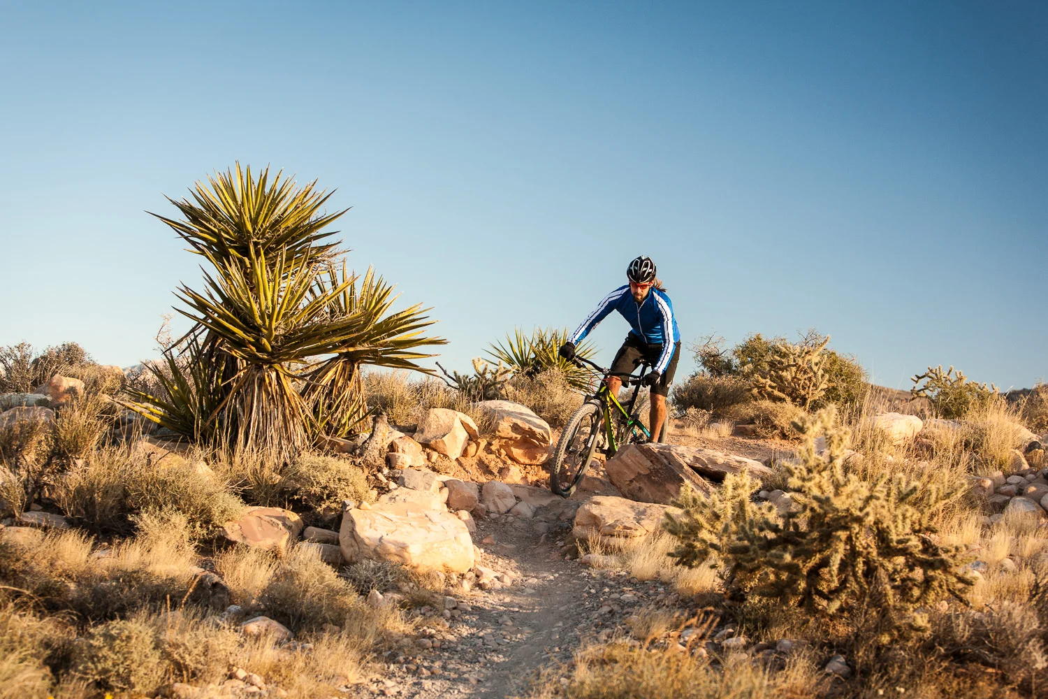 Irwin Cycles
