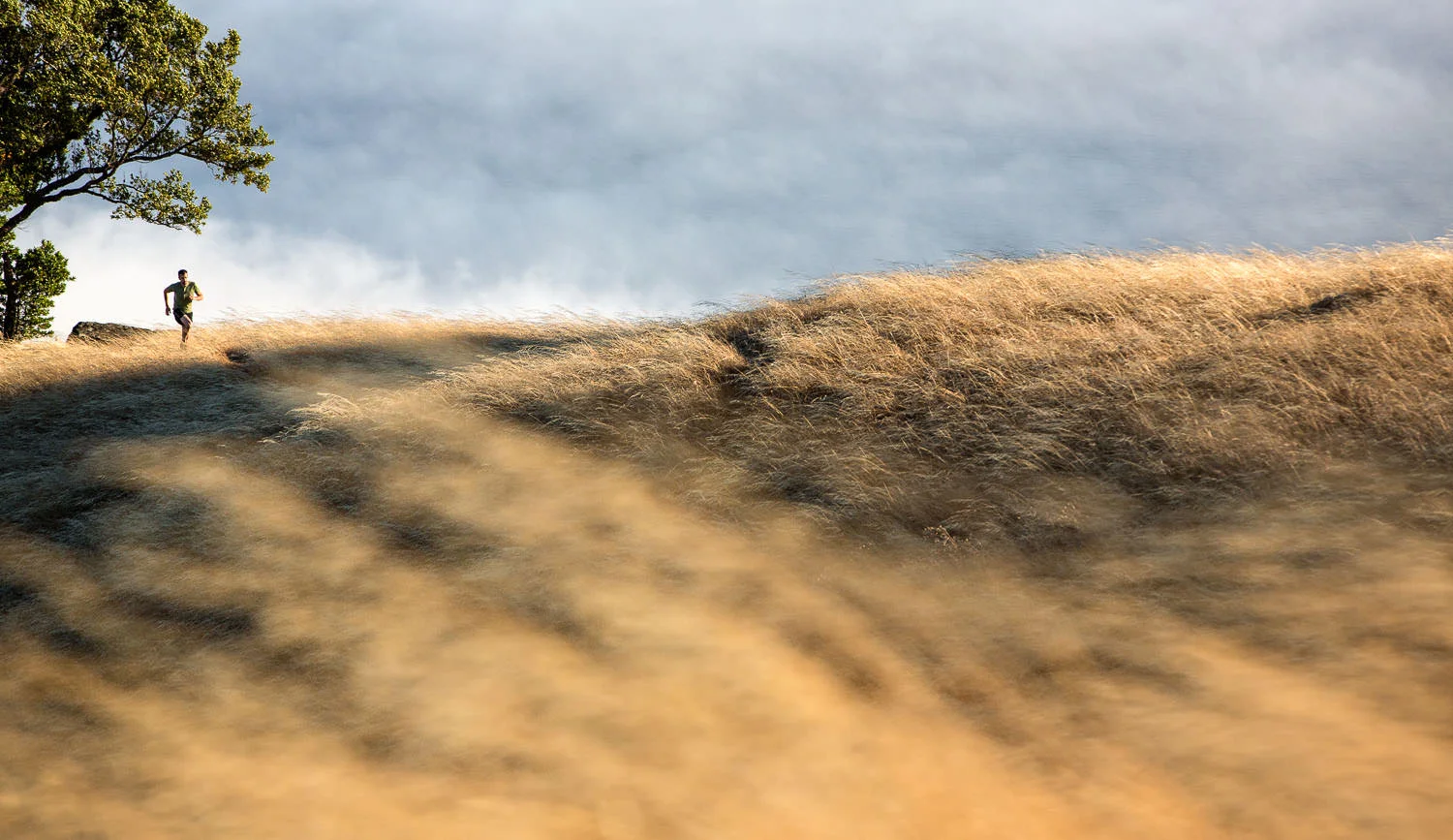 Mt. Tamalpais, Marin County, CA