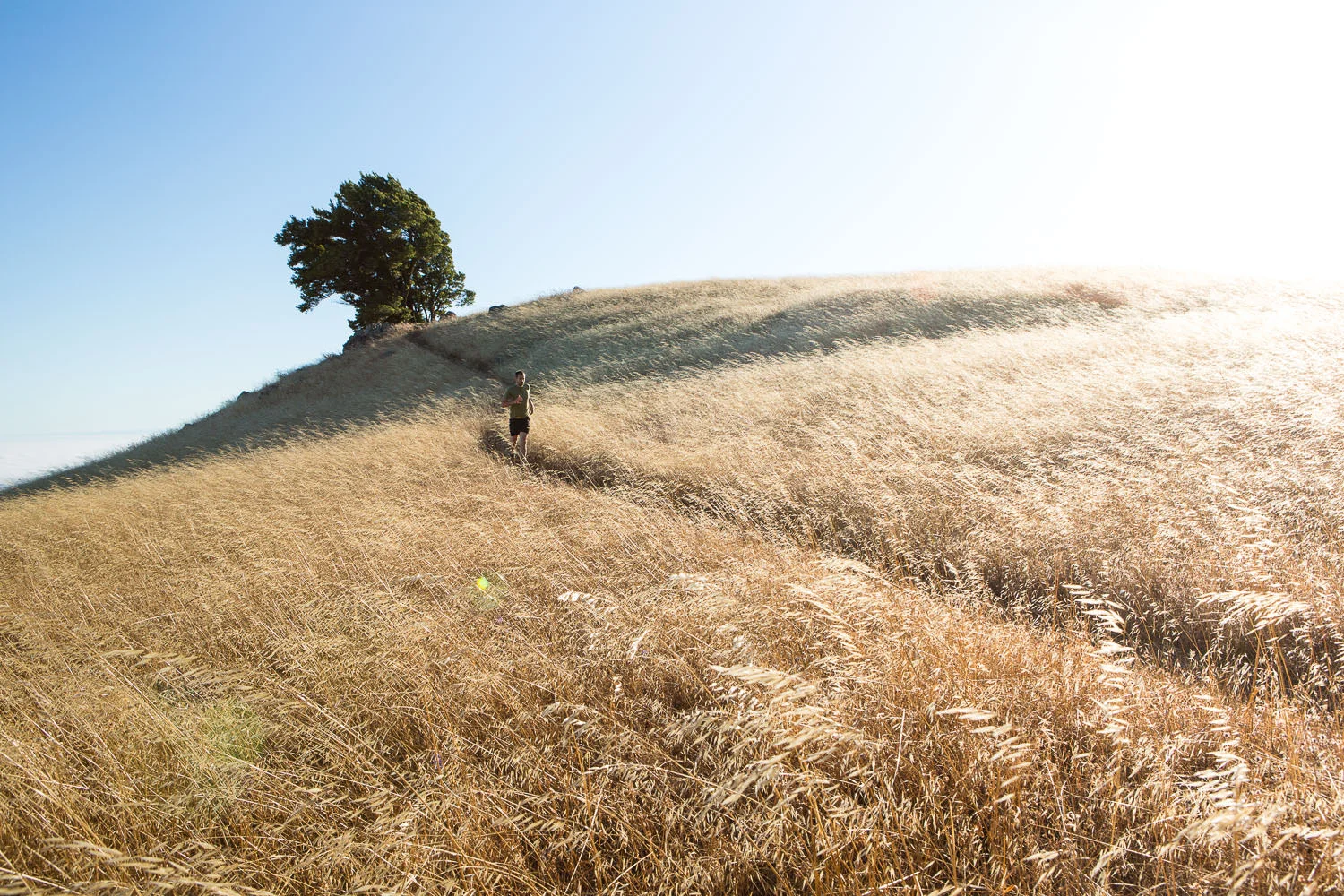 Mt. Tamalpais, Marin County, CA