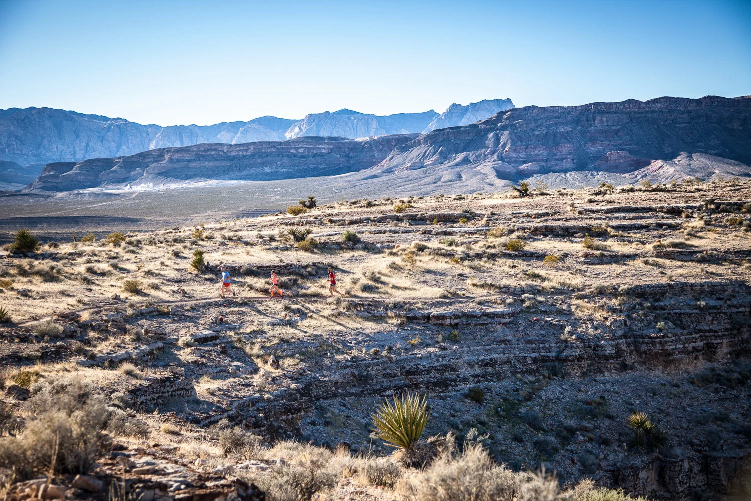 Desert Companion Magazine