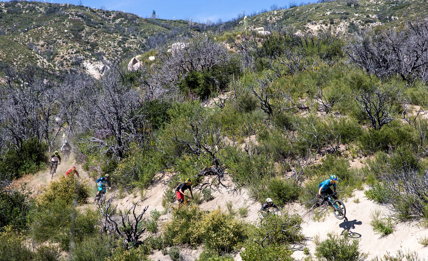 Los Angeles, CA For, http://mtwilsonmtbadventure.com