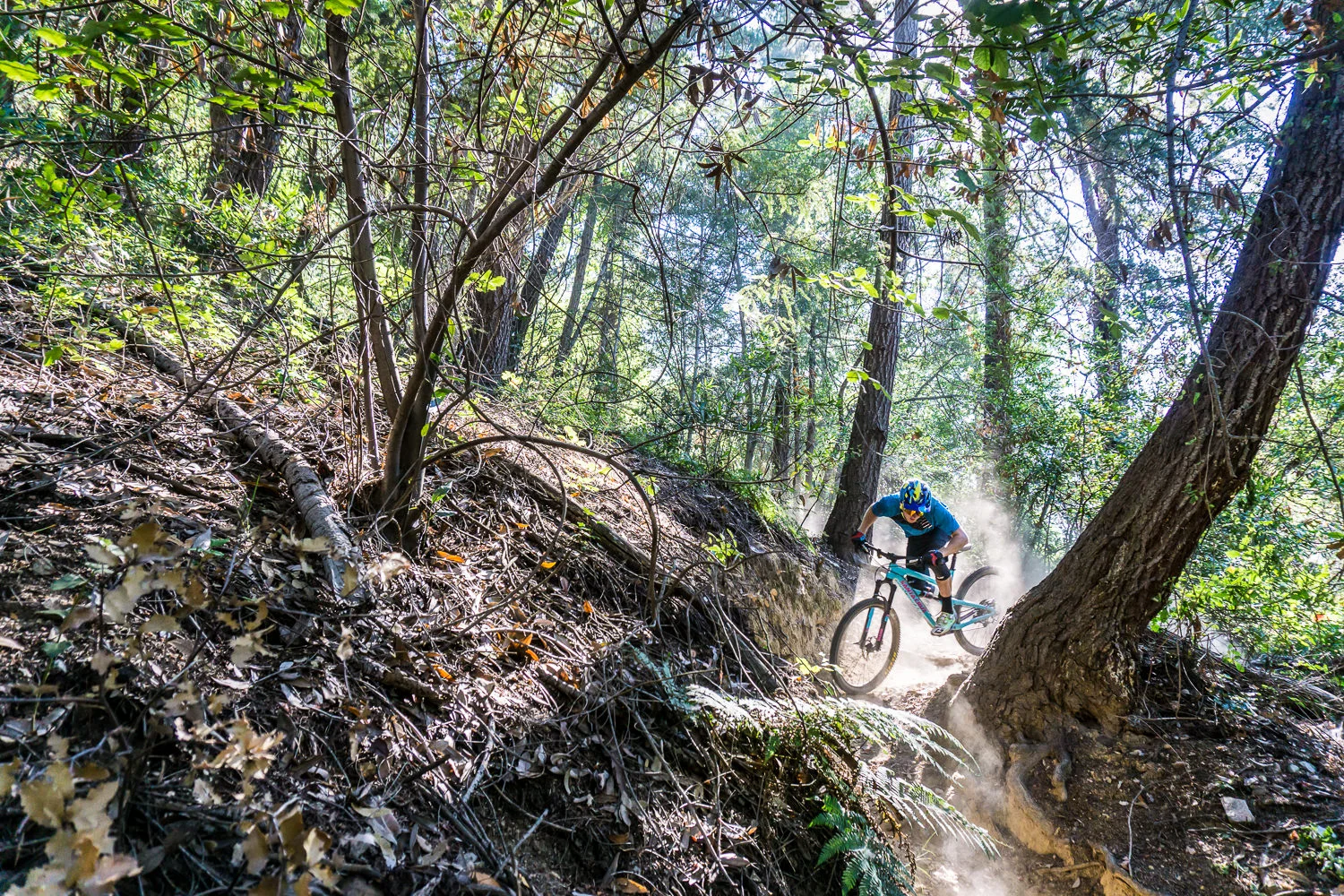 Los Angeles, CA For, http://mtwilsonmtbadventure.com