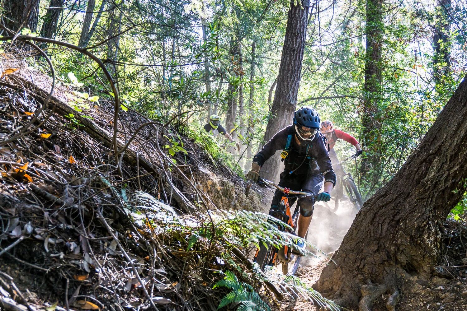 Los Angeles, CA For, http://mtwilsonmtbadventure.com