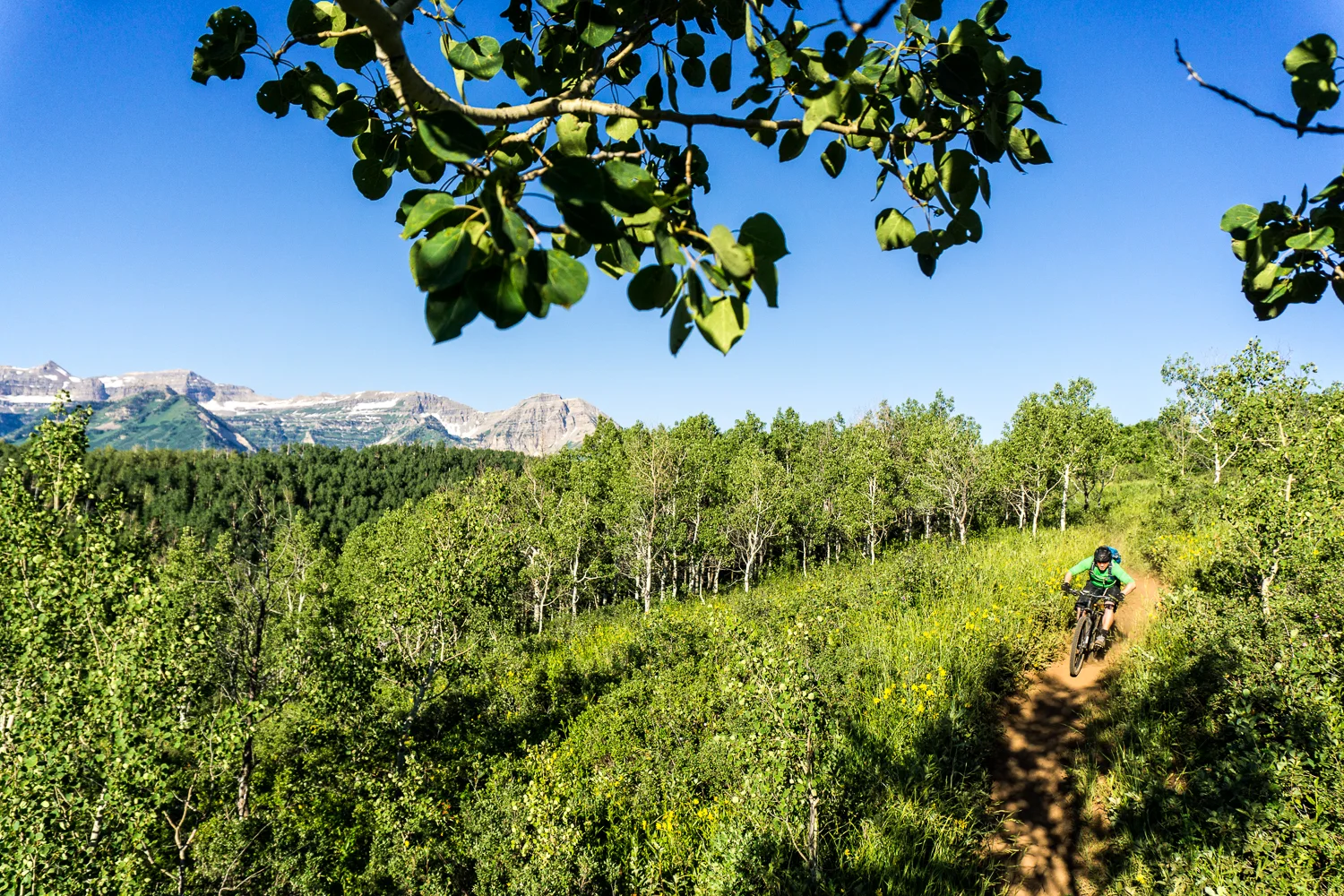 American Fork Canyon, UT