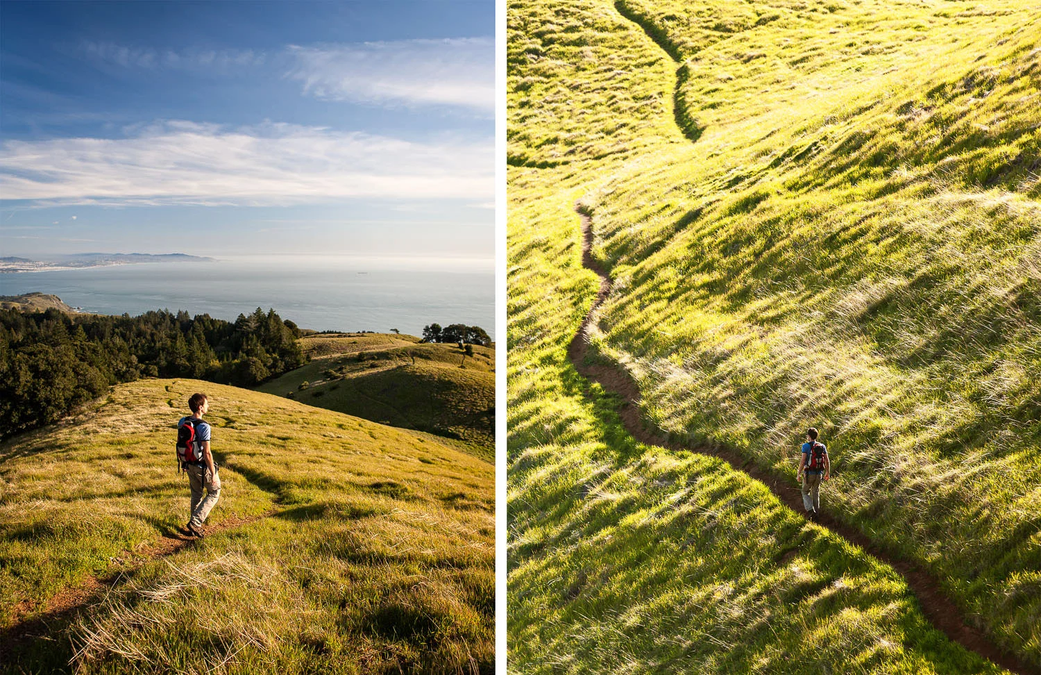 Mt. Tamalpais, Ca