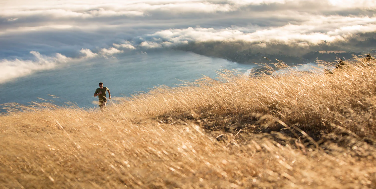 mt. tamalpais, ca