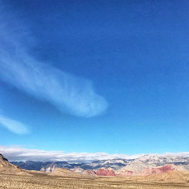 Some Friday morning dirt therapy ✌🏻