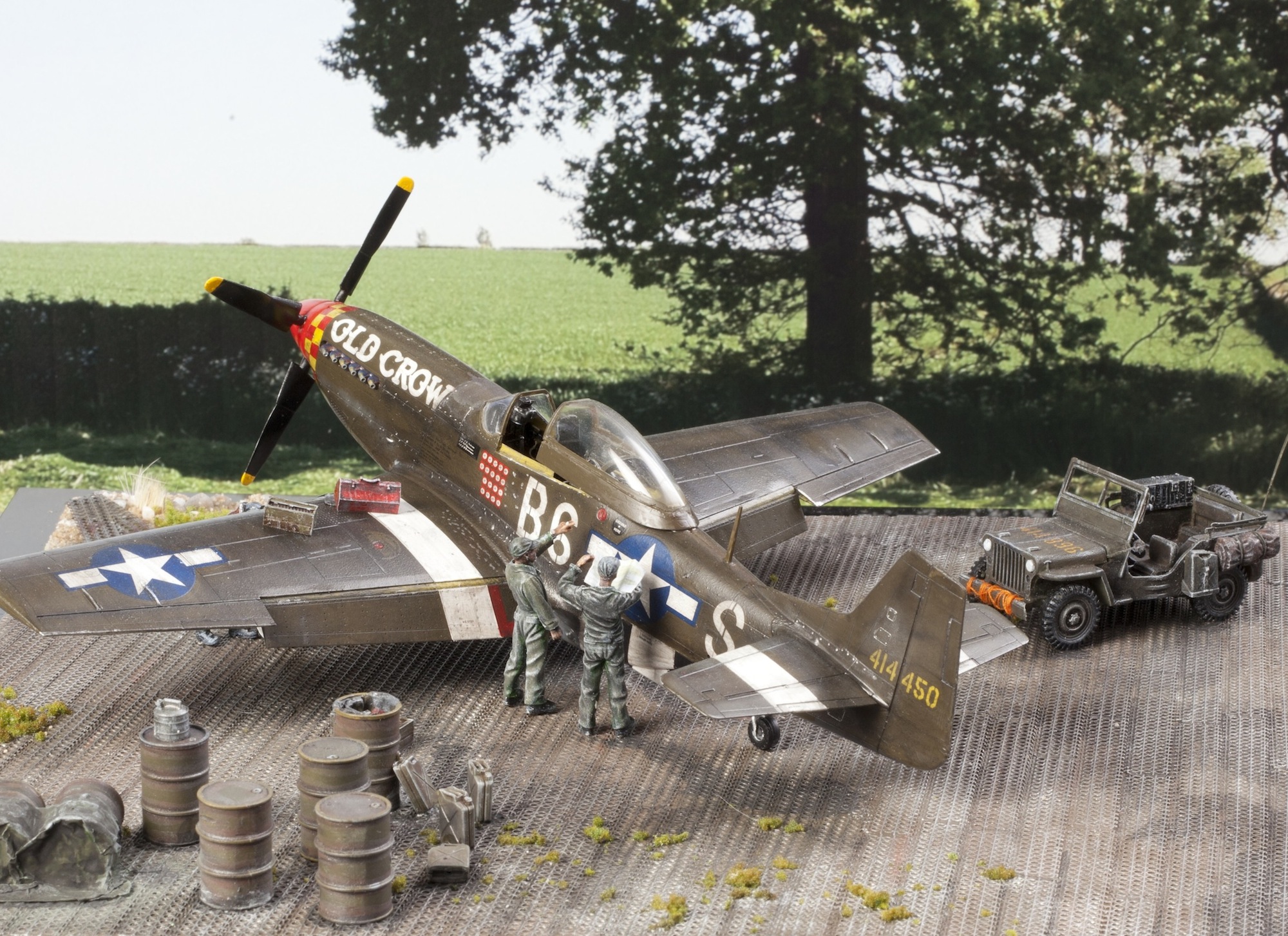 P51 D MUSTANG.jpg