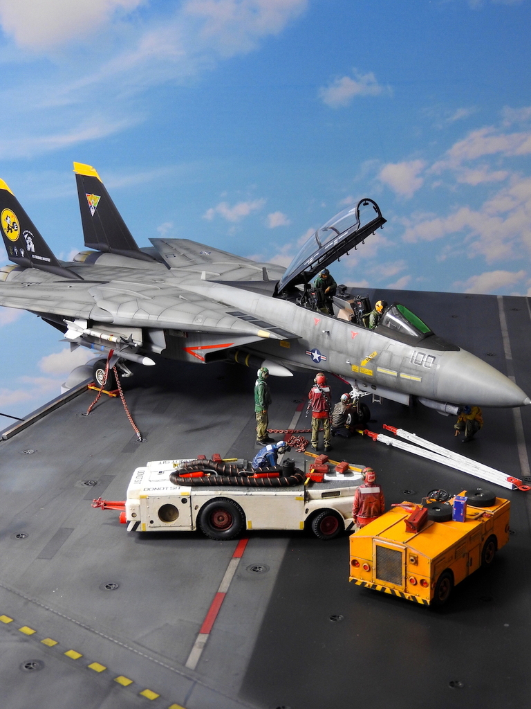 X60 BN-Ac-Trumpeter-F-14D Super Tomcat, 1.32 copy.JPG