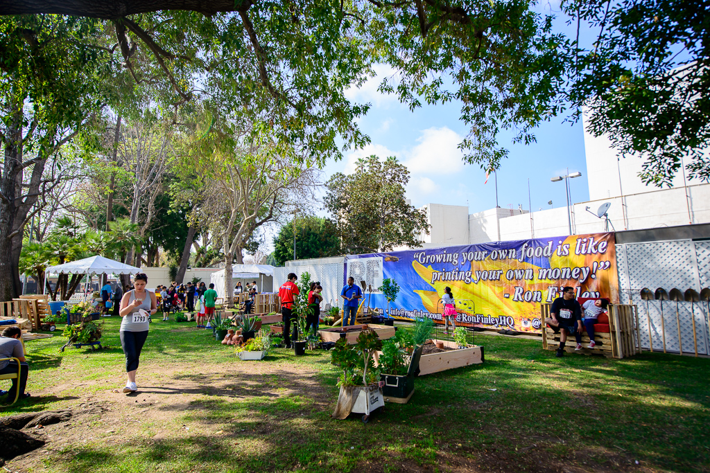 Hec9_Altamed5k2015_614.jpg