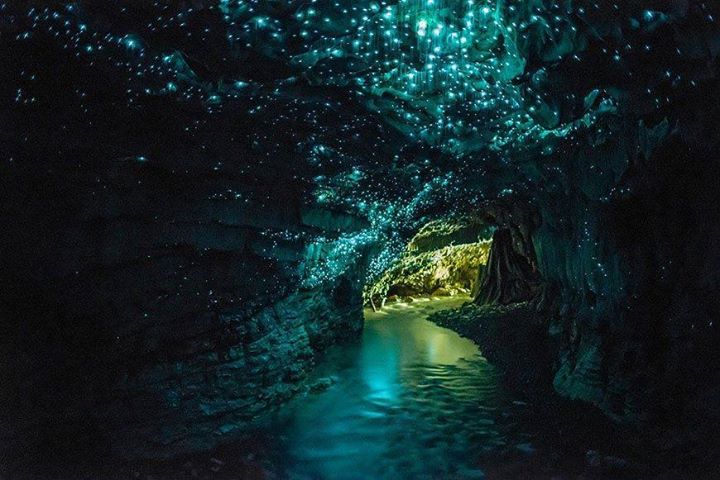 211 Org's amazing photo of the Waitomo Glow Worm Caves.