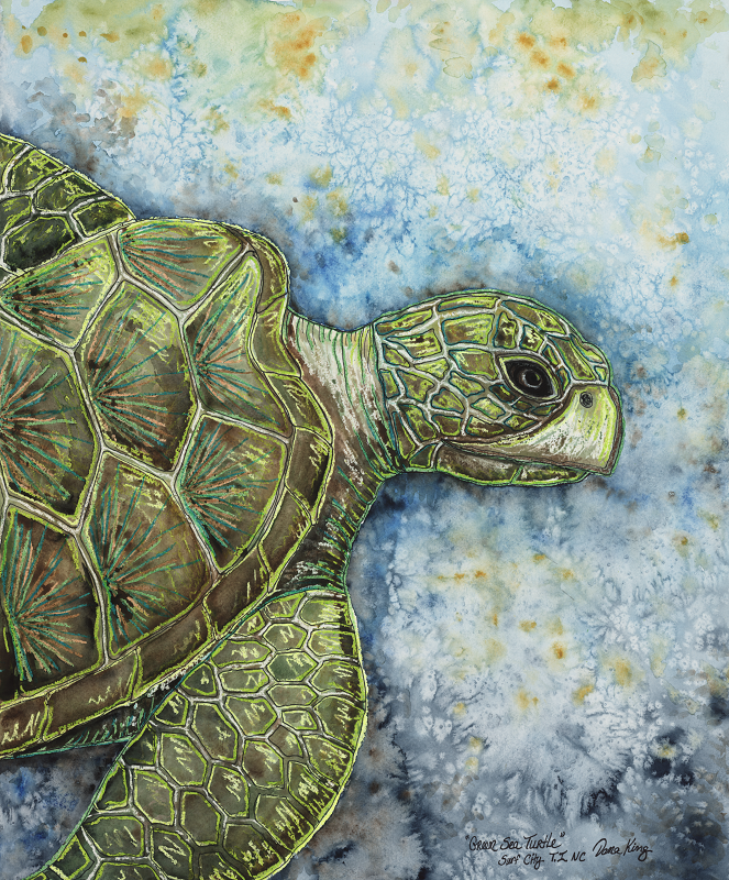 Green Sea Turtle Print - Dana King