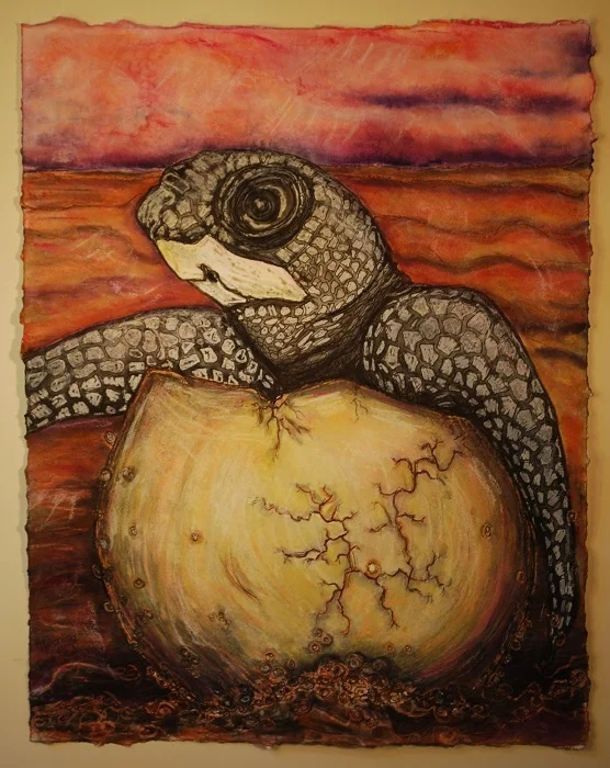 Sea Turtle-Leatherback Hatchling.jpg