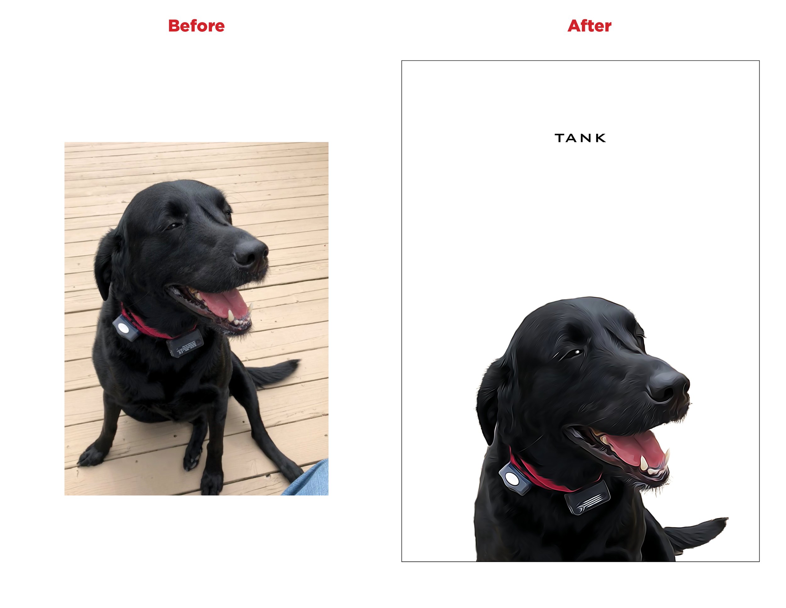 Before and after tank.jpg
