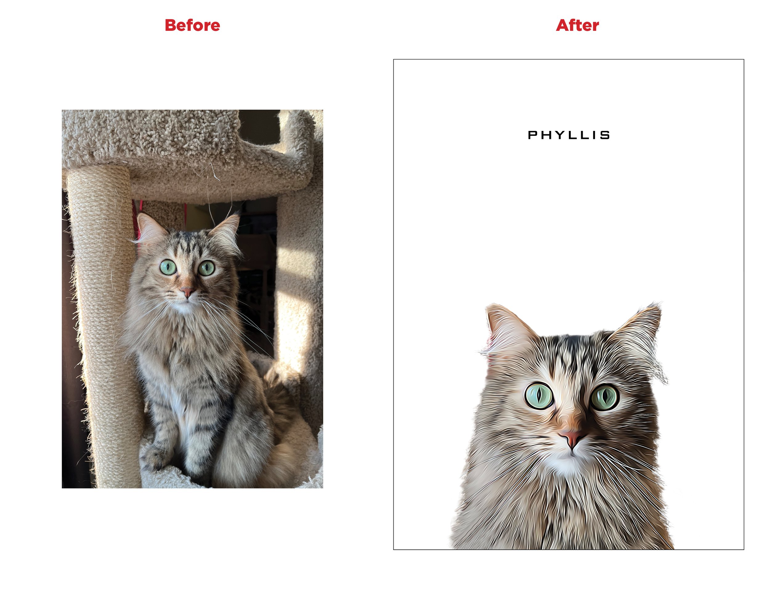 Before and after Phyllis.jpg