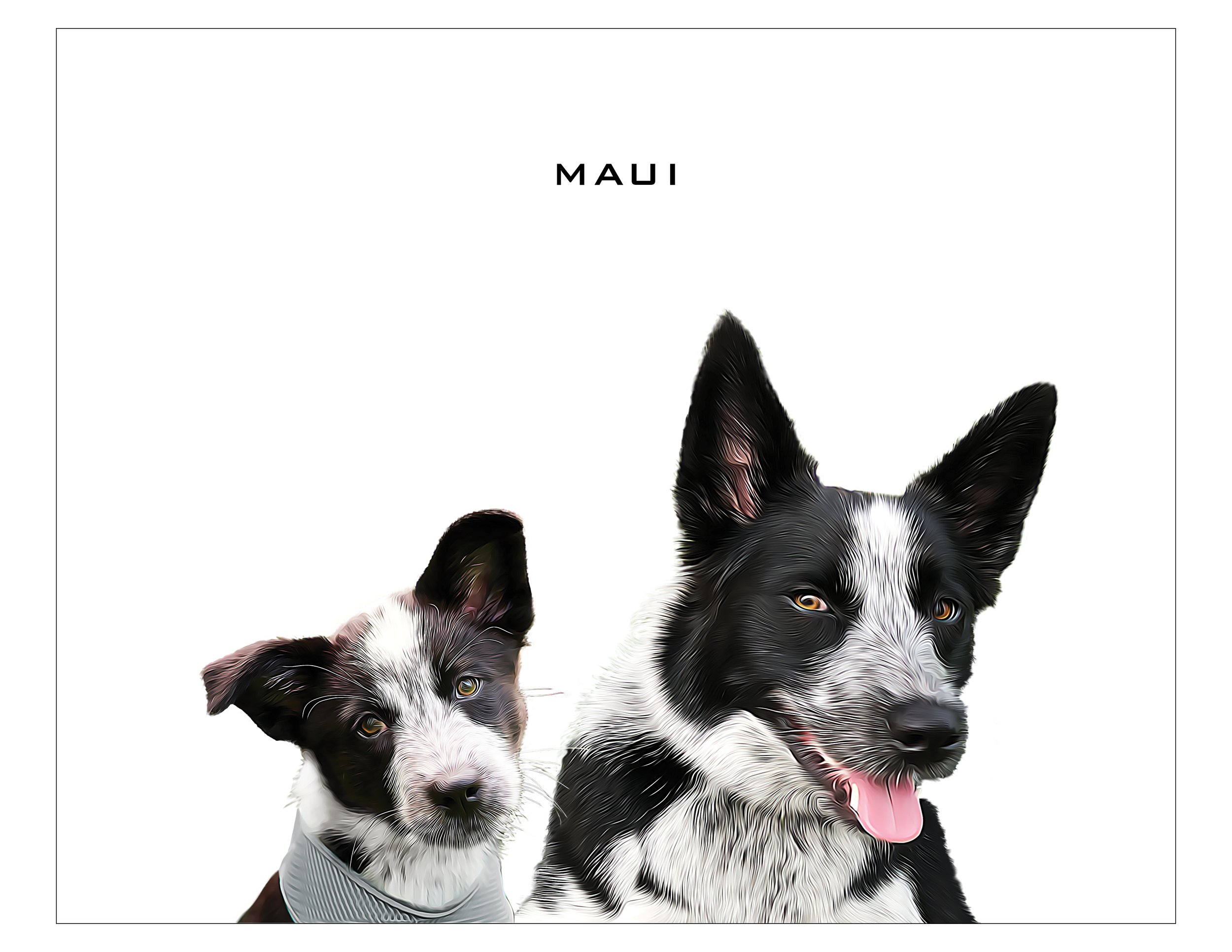 Maui adult and pup.jpg