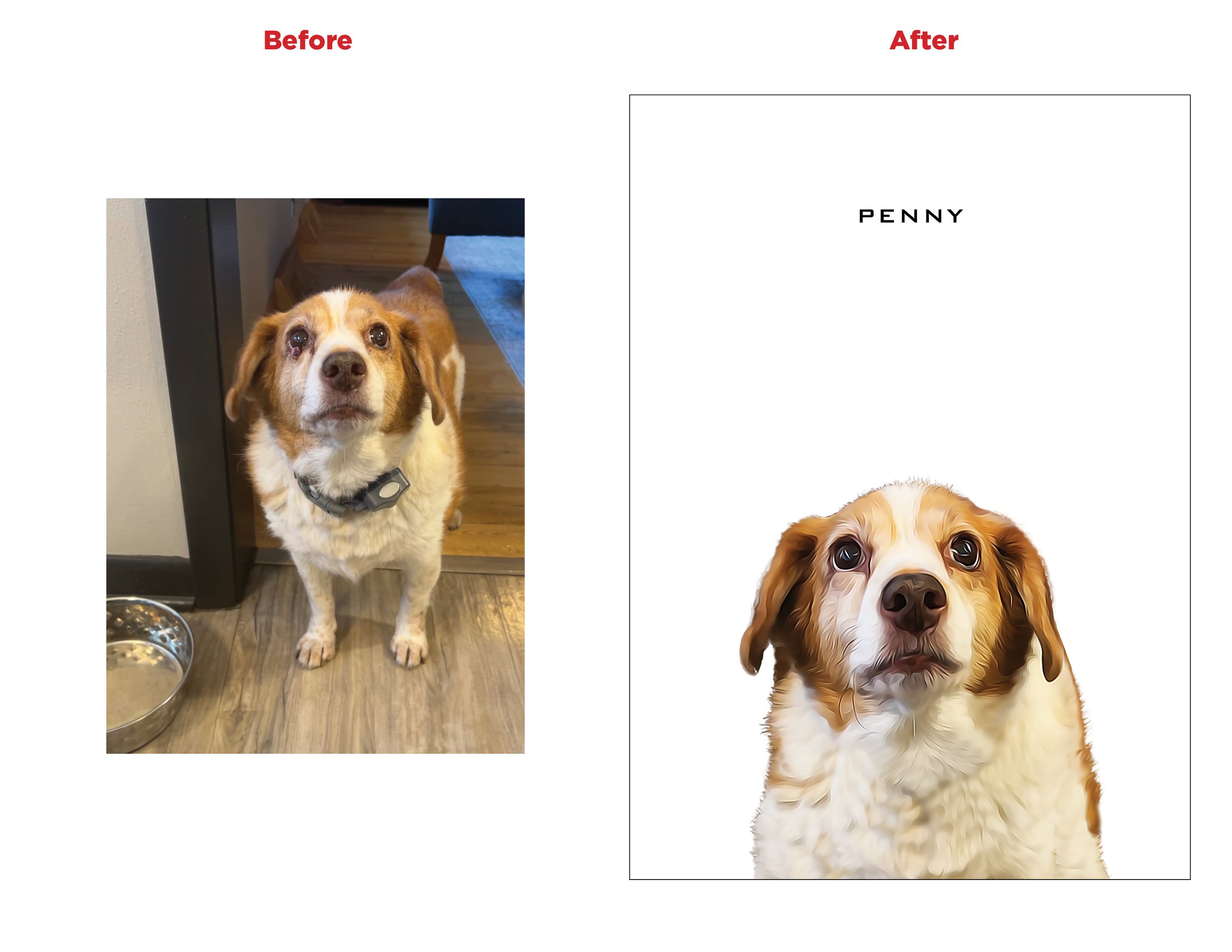Penny Before and After.jpg
