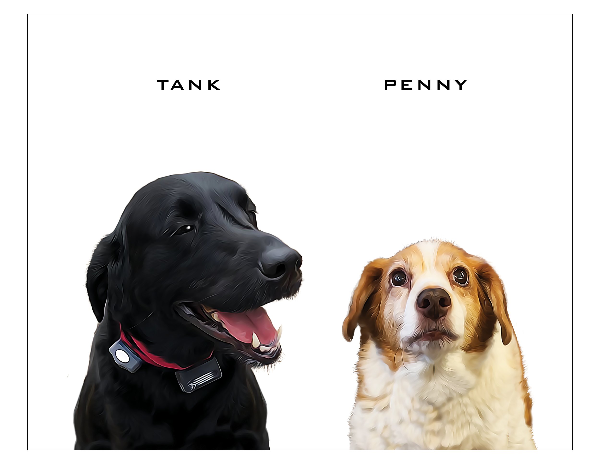 Tank and Penny 8 x 10.jpg
