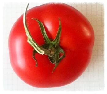tomato.jpg