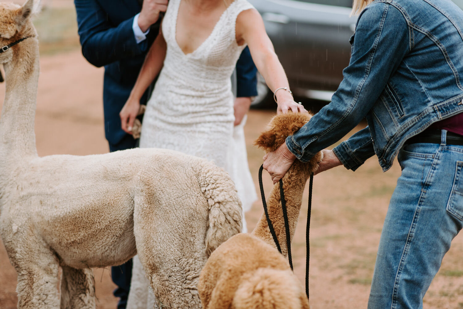  Mountain View Ranch, Mountain View Ranch Wedding, Colorado Wedding Photographer, Pine Colorado Wedding, Pine Wedding Photographer, Mountain Wedding Photographer, Colorado Mountain Wedding, Colorado Wedding Venue, Colorado destination wedding, rainy 