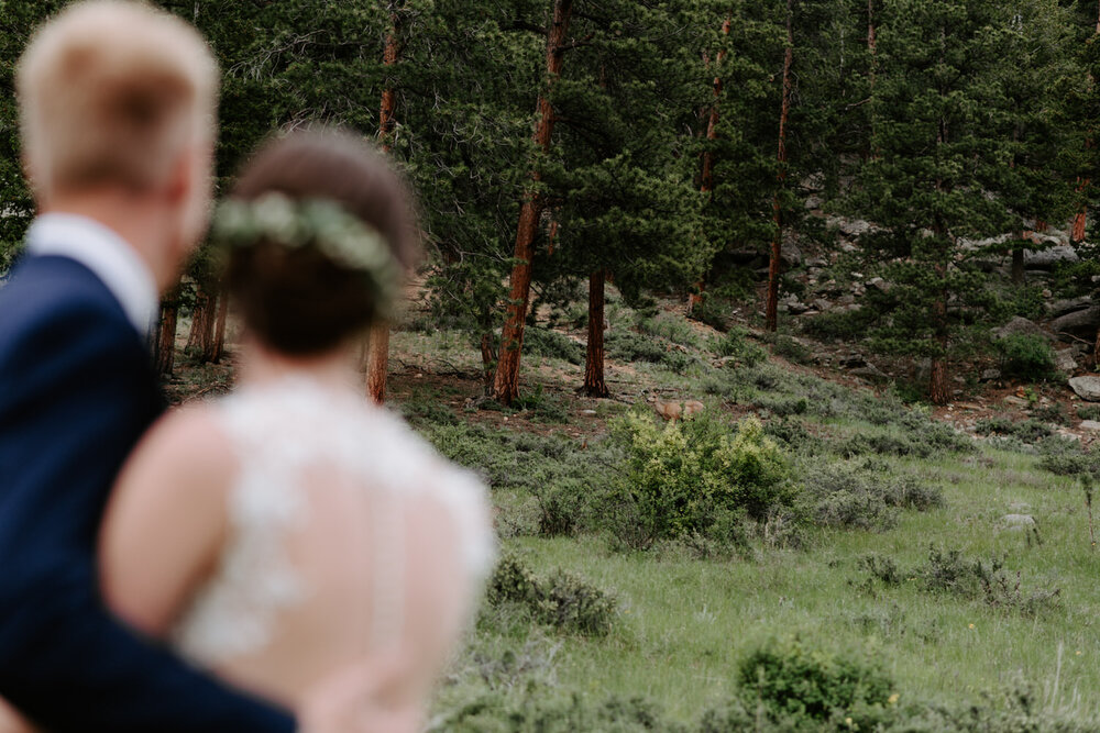  della terra mountain chateau wedding, della terra wedding, estes park wedding, Estes Park Wedding Photographer, estes park wedding venues, colorado wedding venues, colorado wedding, colorado wedding photographer, summer mountain wedding, colorado de