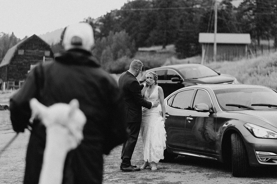 There are few photos I love more than Hannah's complete shock over her hubby surprising her with her favorite animal, llamas, on their wedding day 🦙#blackandwhiteweek