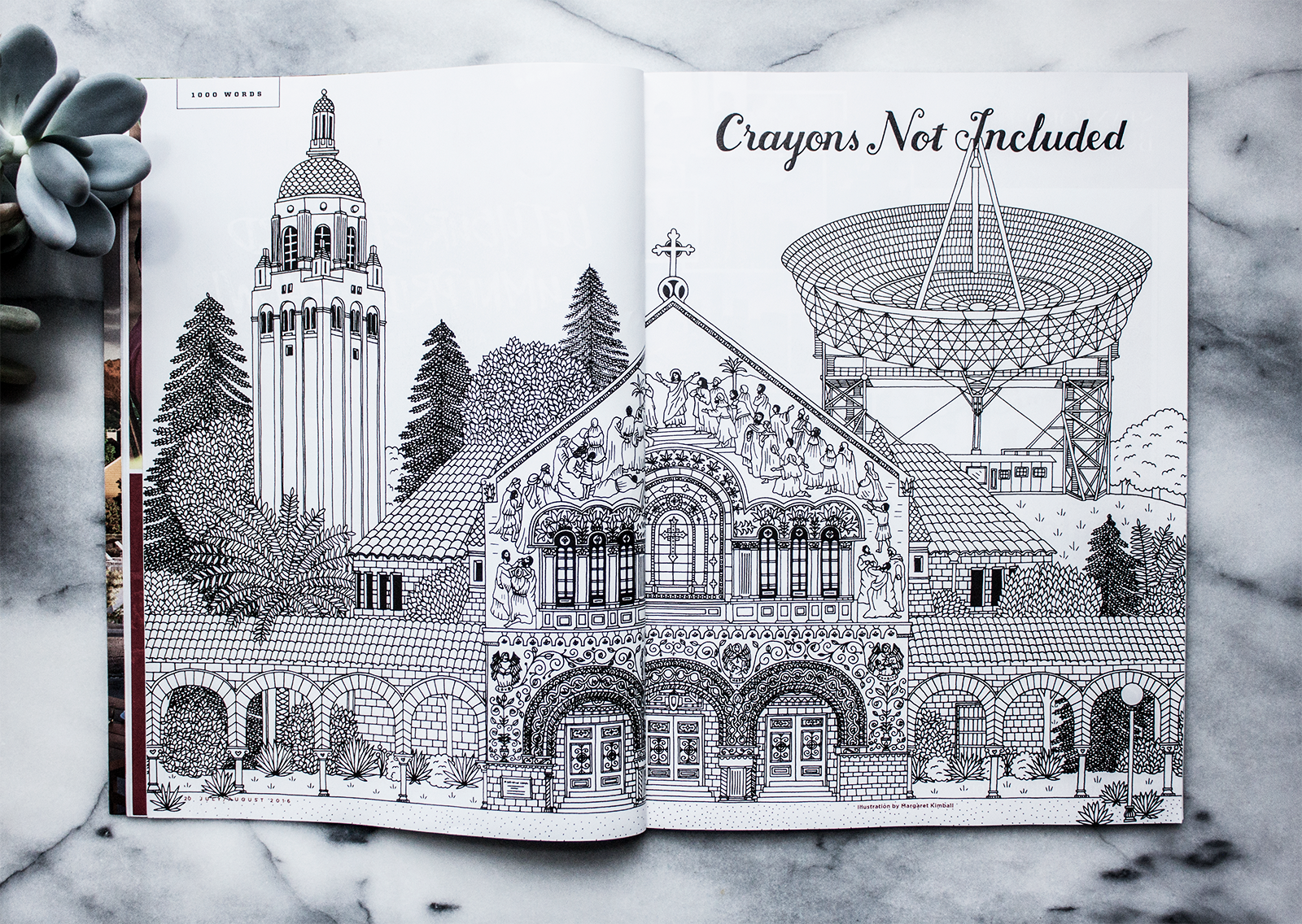 kimball_stanford1.png