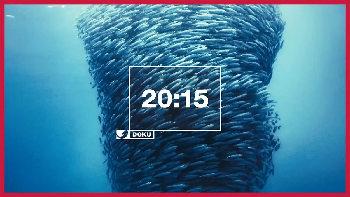 KABEL1DOKU_DESIGN-BRANDING_02.jpg