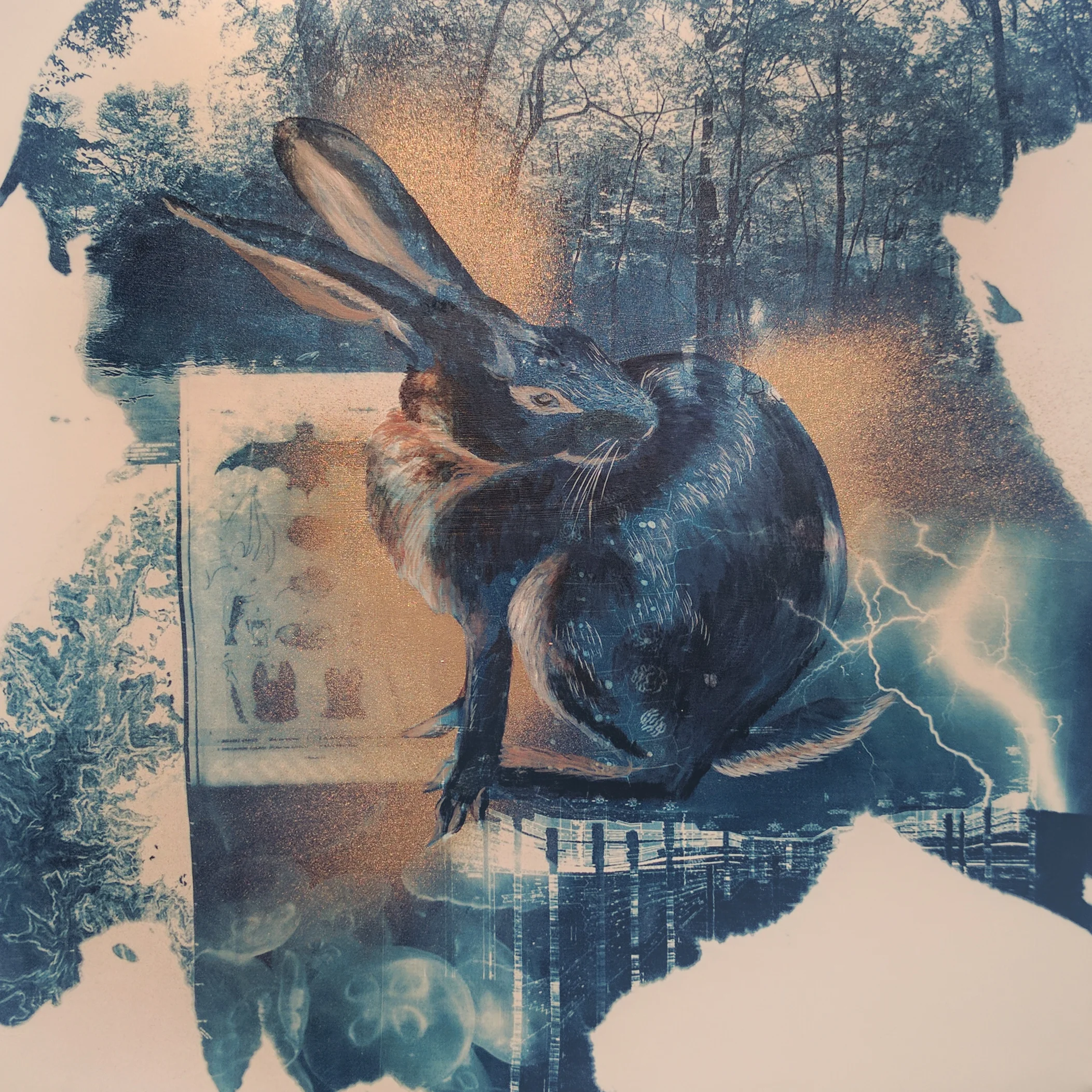 Belgian Hare Rabbit, 18x18"