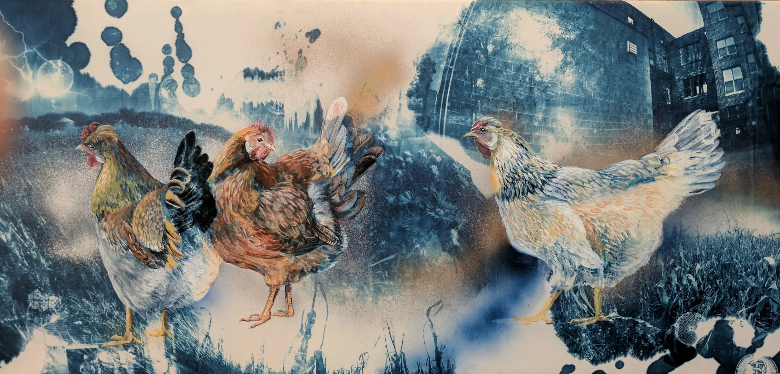 Icelandic Chickens of Whipoorwill Farm