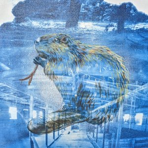 Wild Neighbors — Naomi Friend Studio