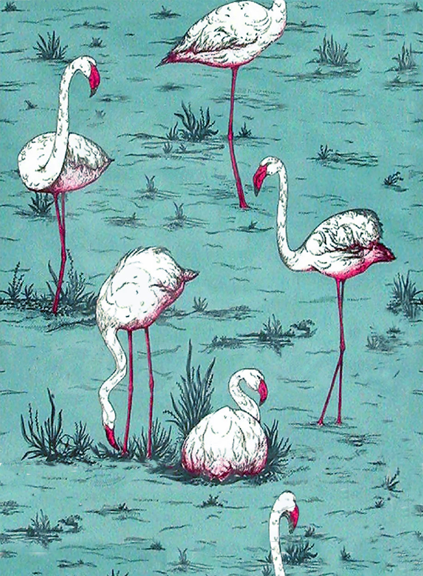 ESPN_HQ_flamingo_wallpaper.jpg