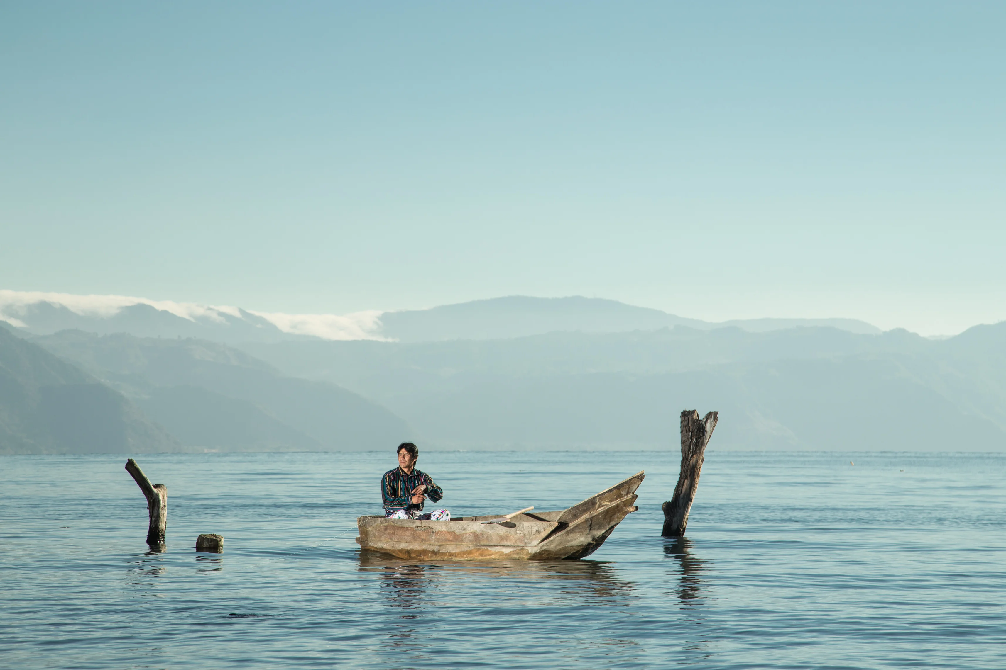 A little bird told me...