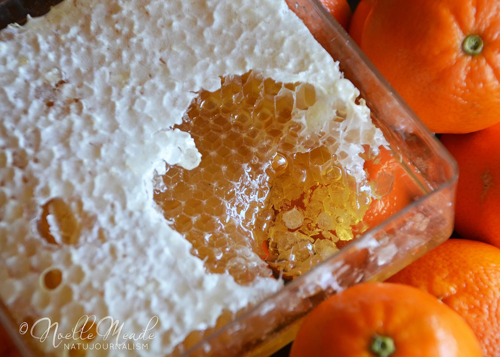 HONEY COMB WEB.jpg
