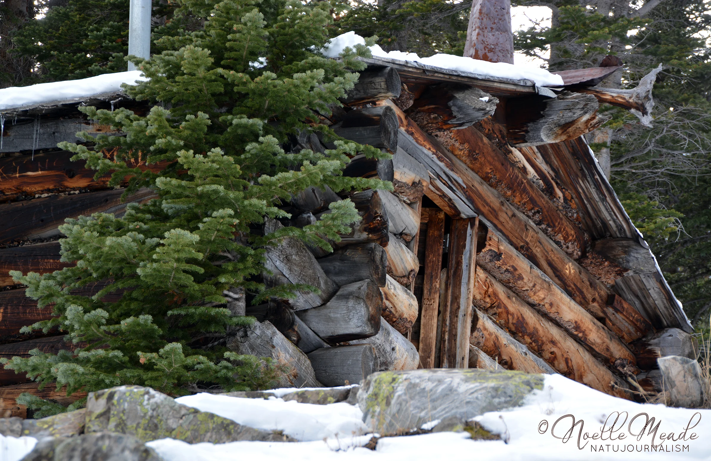 BRECK_8 WEB.jpg