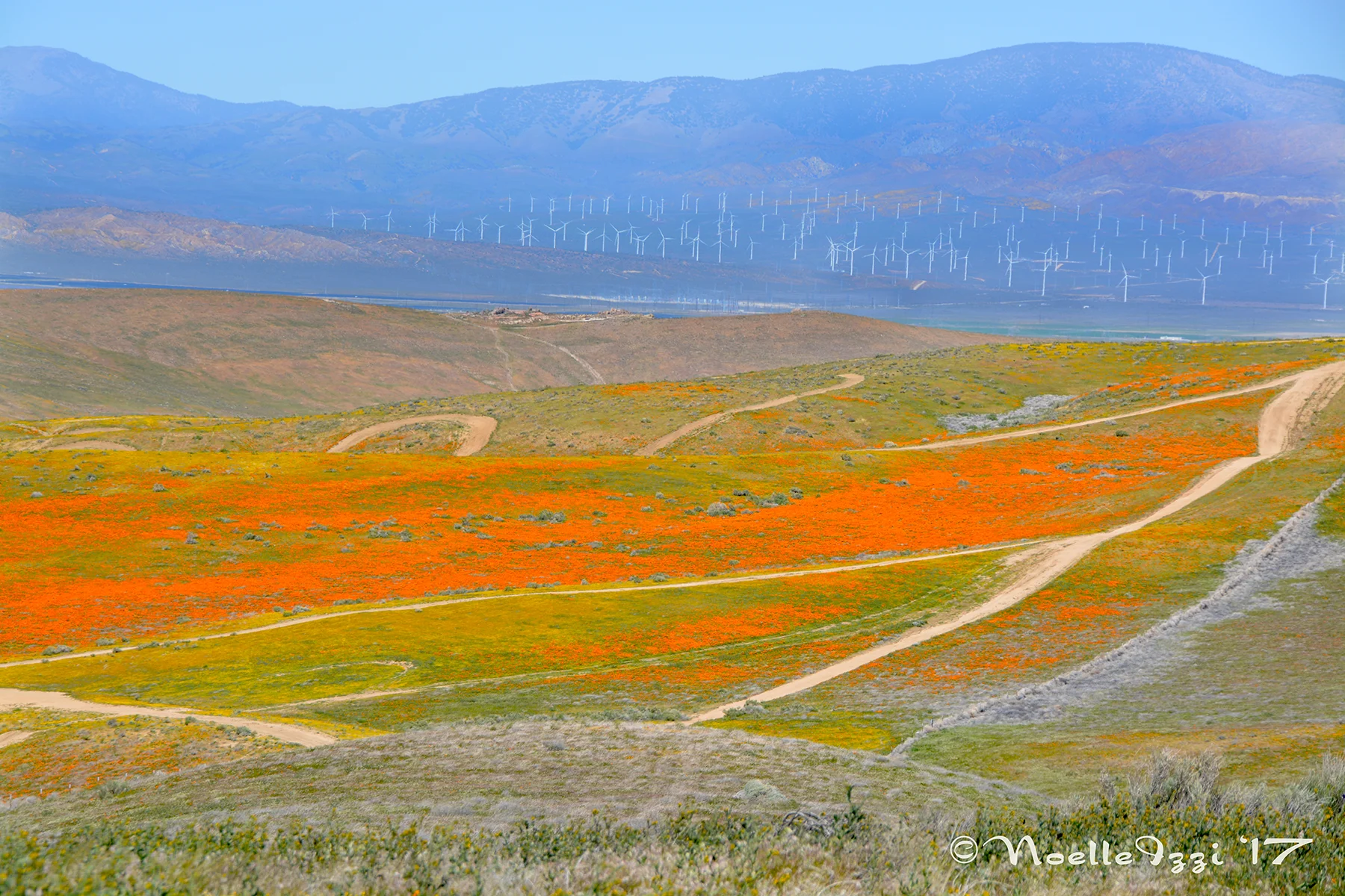 WINDY DIRT ROAD_WEB.jpg