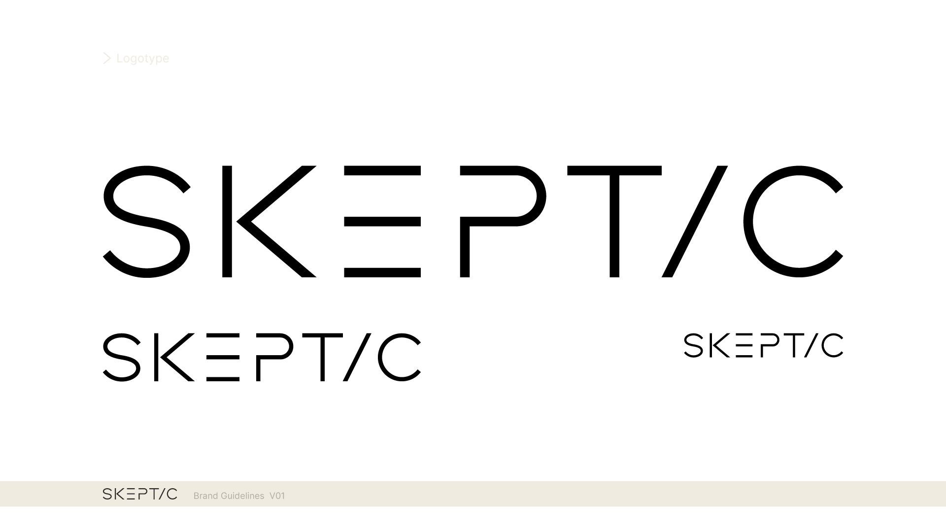 SKEPTIC_Guide01.png