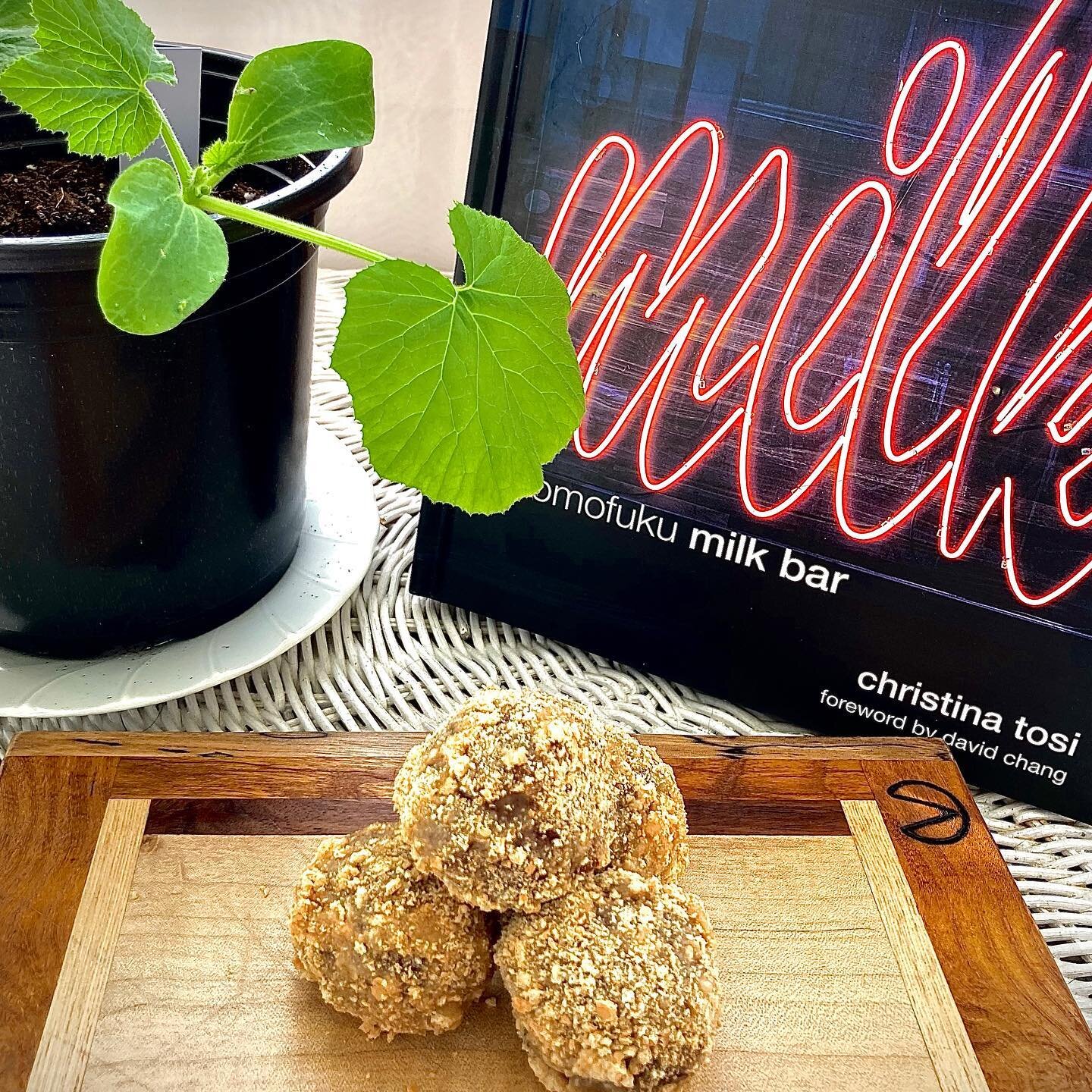 Inspired by milk bar&rsquo;s famous cake truffles (if you are a dessert lover I can't recommend this book enough!) and dreams of zucchini gardens (planted aggressively early), we whipped up some zucchini muffin truffles with Nutella and brown butter 