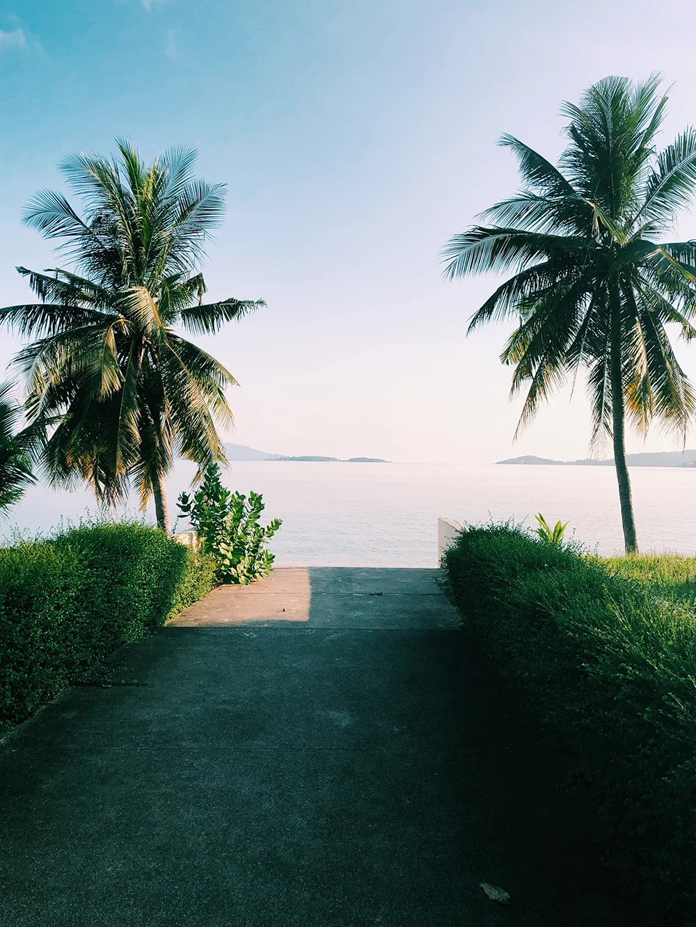 The beach path