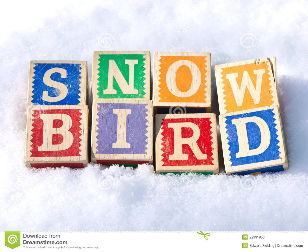 Winter Resident open house Sunday luncheon