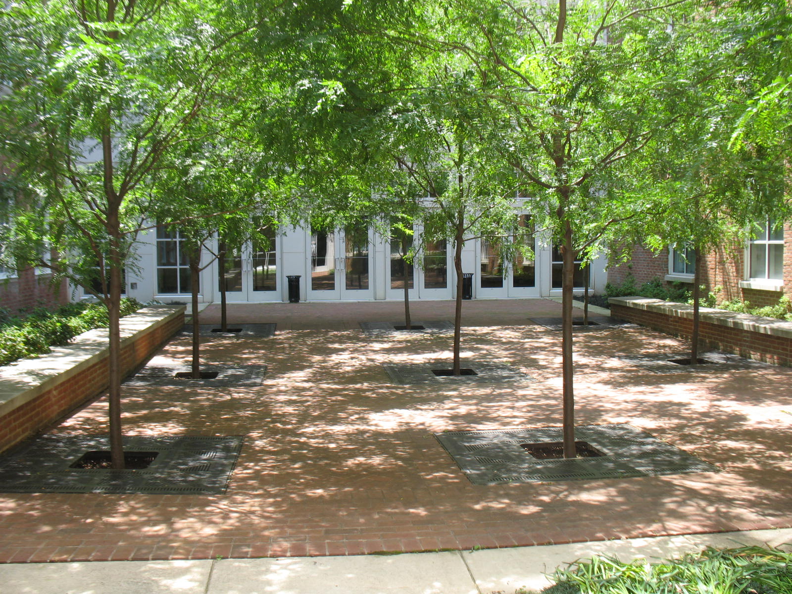  While relaxing with your lunch, enjoy the courtyard view. The courtyard is accessible from your lab and provides a meditative space in which to think about the day's experiments. 