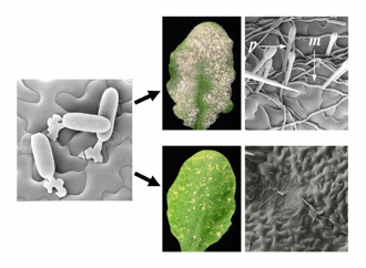 image9.gif