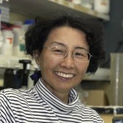Keiko Ozato Senior Investigator | Section on Molecular Genetics of Immunity, National Institute of Child Health & Development, National Institutes of Health