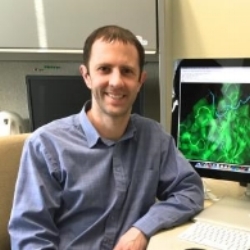 Brian Pierce Assistant Professor | Institute of Bioscience and Biotechnology Research