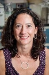 Lisa Taneyhill Associate Professor | Department of Avian and Animal Sciences