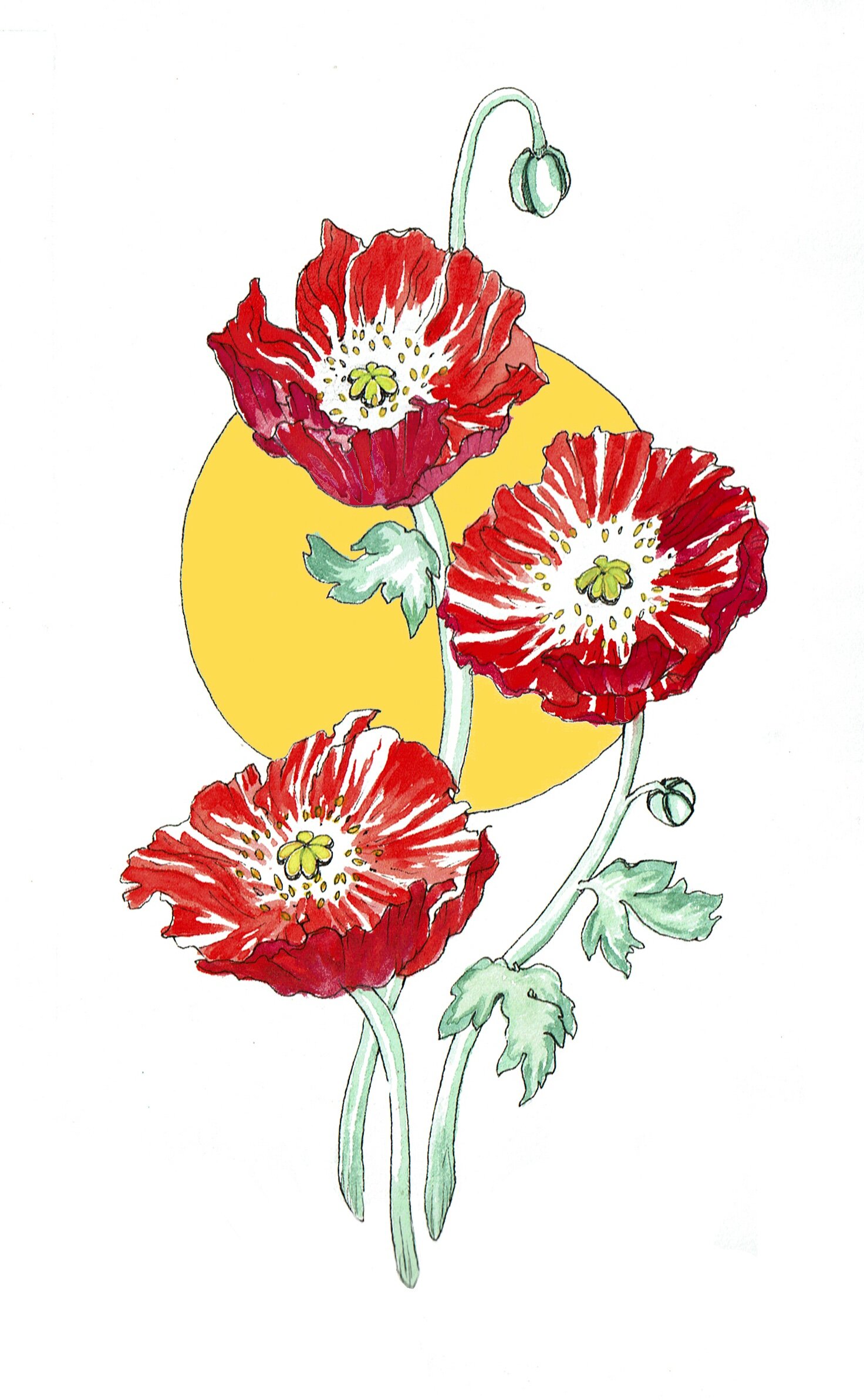 Sun Poppies white.jpg